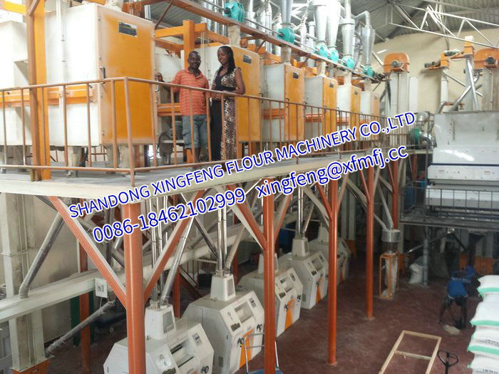 60T/24h Maize/Corn flour maize grits milling machinery