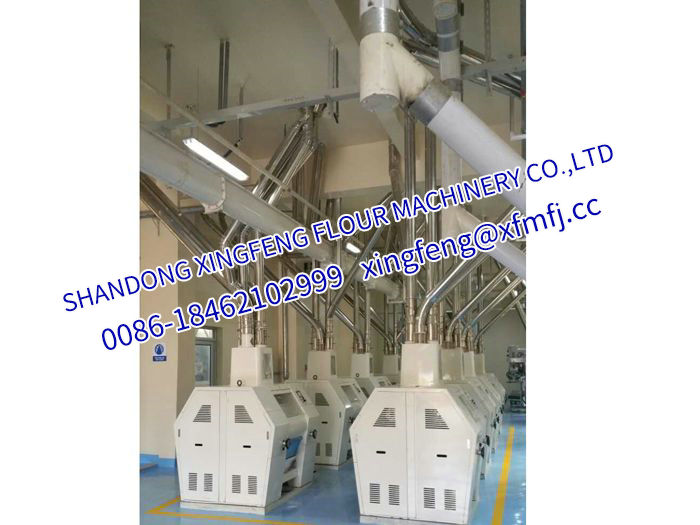 150T wheat flour milling equipment